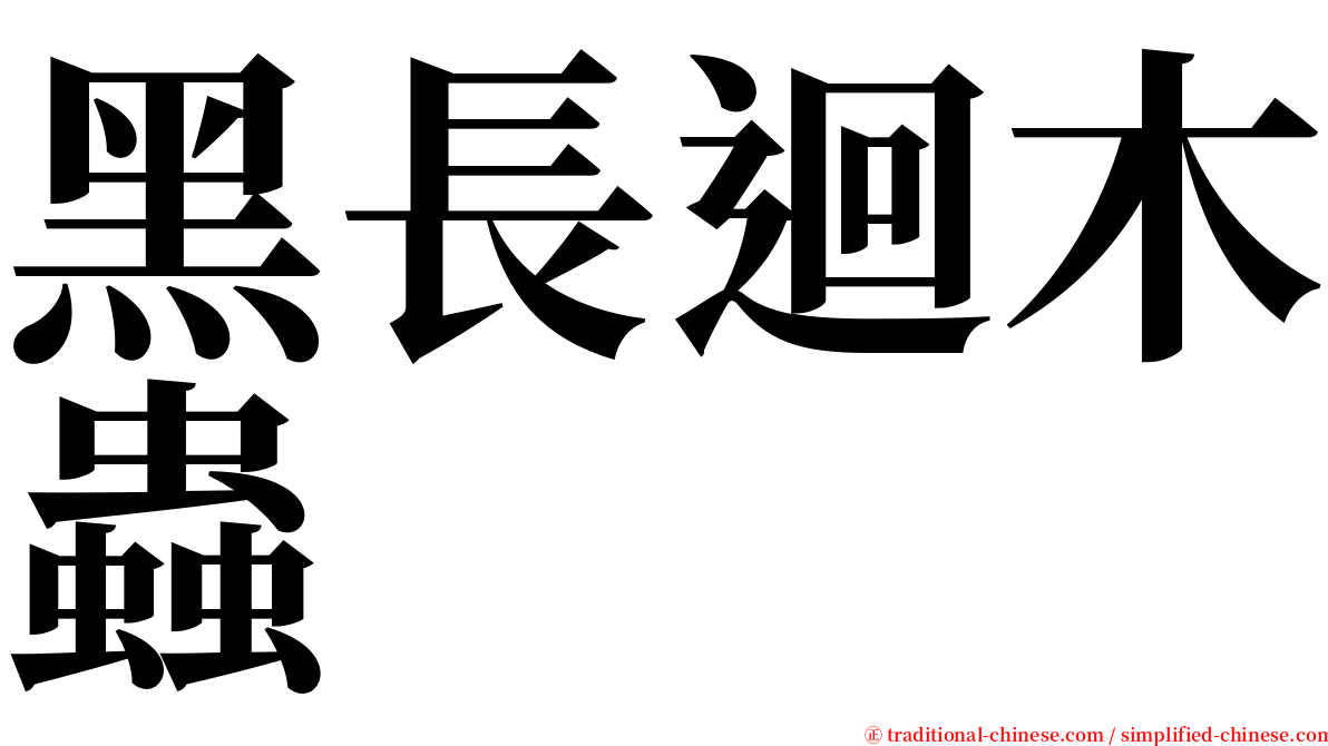 黑長迴木蟲 serif font