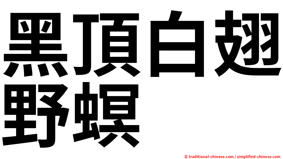 黑頂白翅野螟