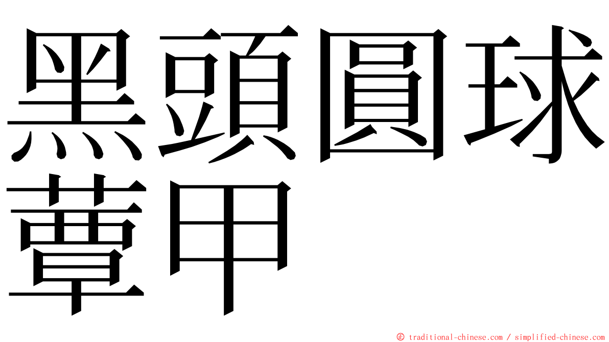 黑頭圓球蕈甲 ming font