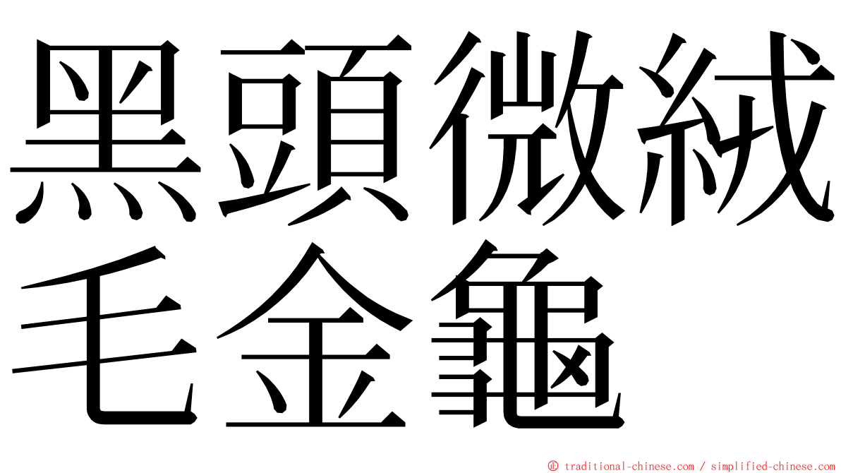 黑頭微絨毛金龜 ming font