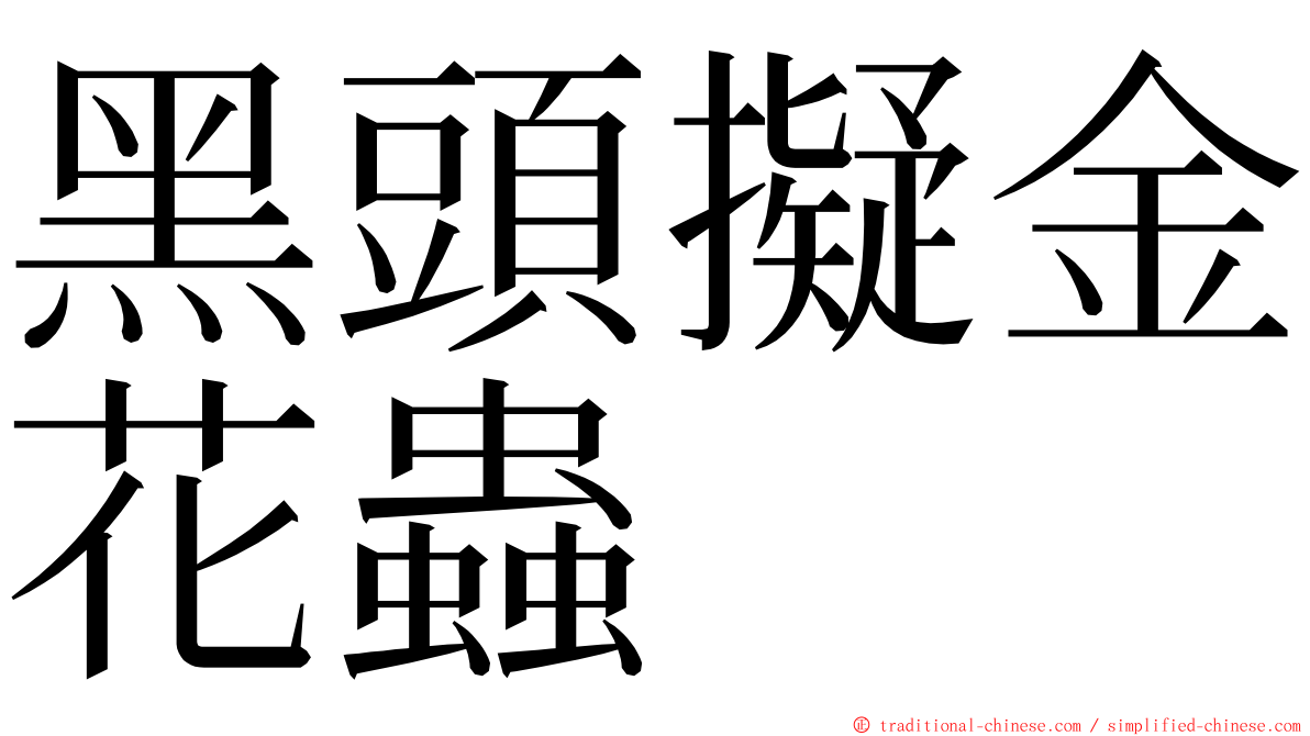 黑頭擬金花蟲 ming font