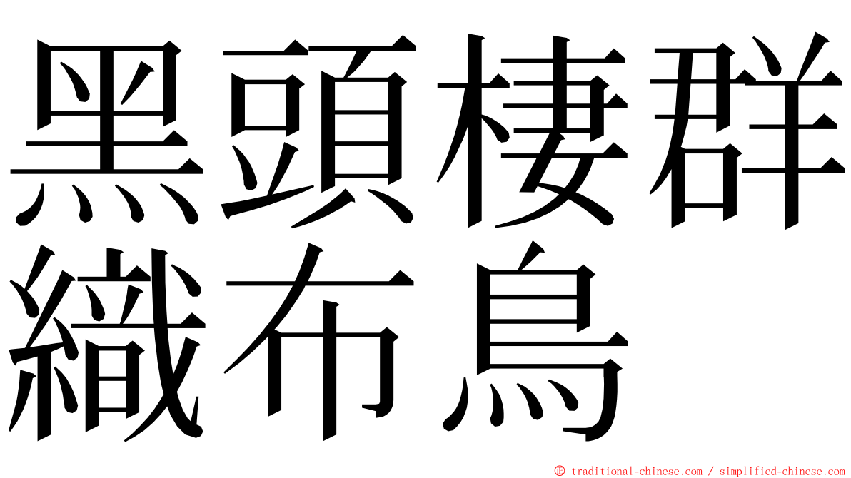 黑頭棲群織布鳥 ming font