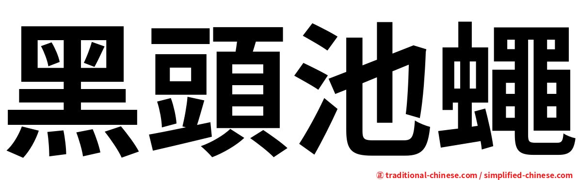 黑頭池蠅