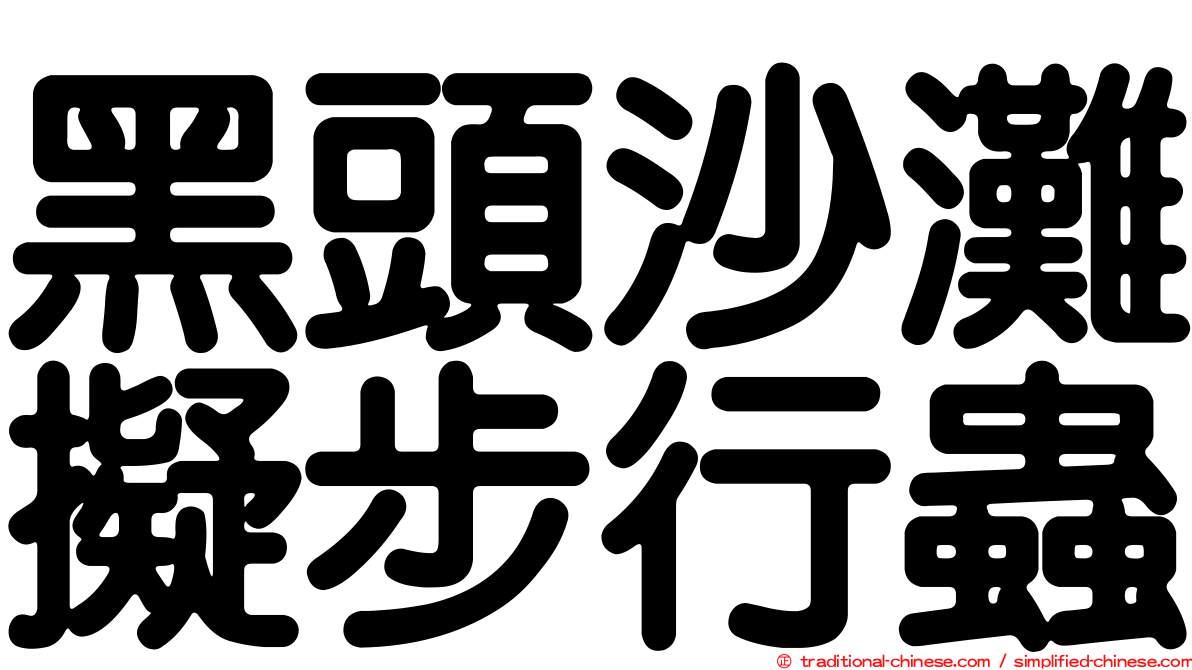 黑頭沙灘擬步行蟲