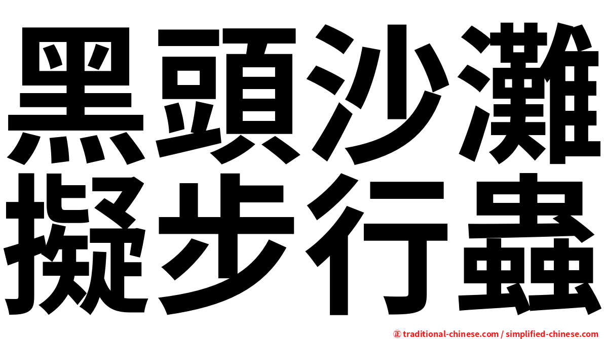 黑頭沙灘擬步行蟲