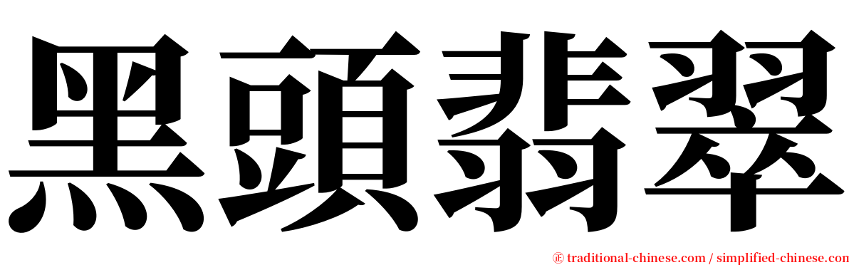 黑頭翡翠 serif font