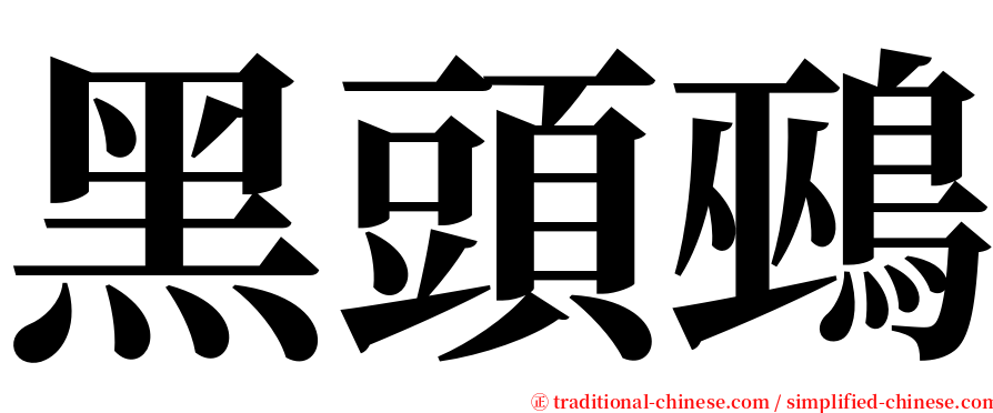 黑頭鵐 serif font