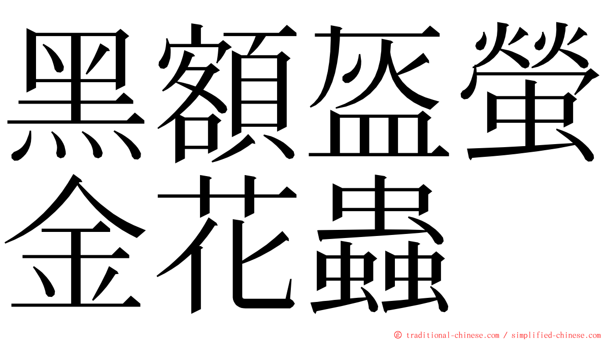 黑額盔螢金花蟲 ming font