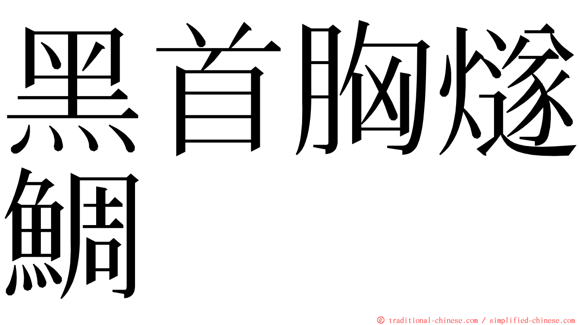 黑首胸燧鯛 ming font