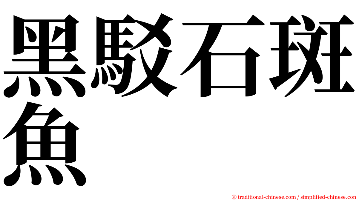 黑駁石斑魚 serif font