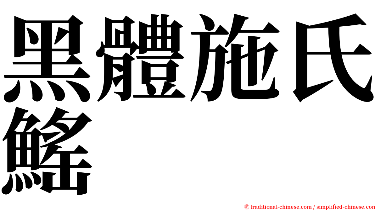 黑體施氏鰩 serif font