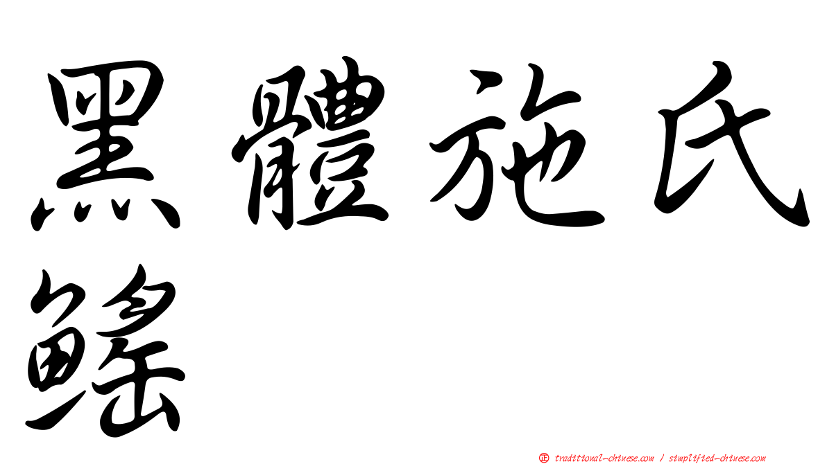 黑體施氏鰩