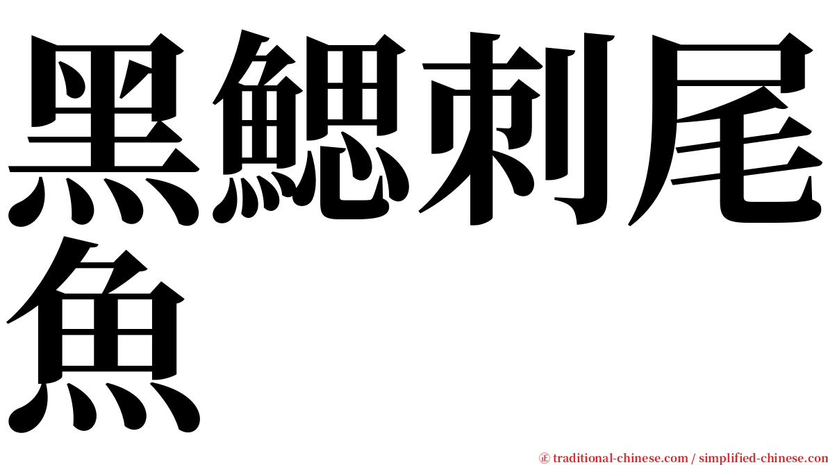 黑鰓刺尾魚 serif font