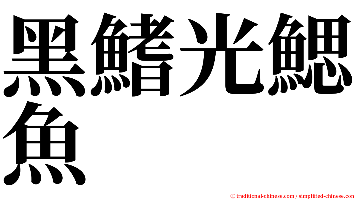 黑鰭光鰓魚 serif font