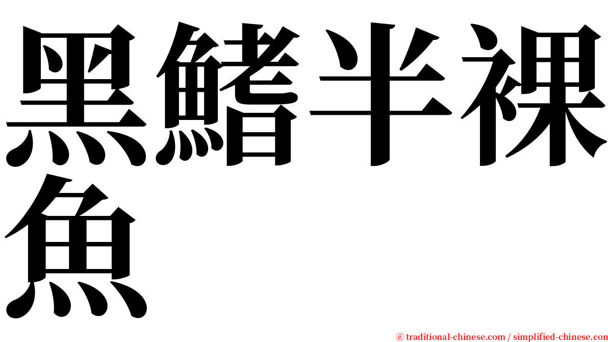 黑鰭半裸魚 serif font