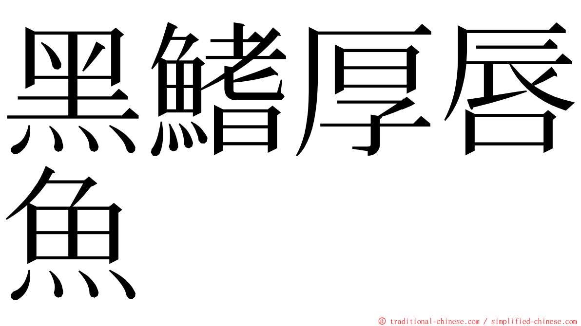 黑鰭厚唇魚 ming font