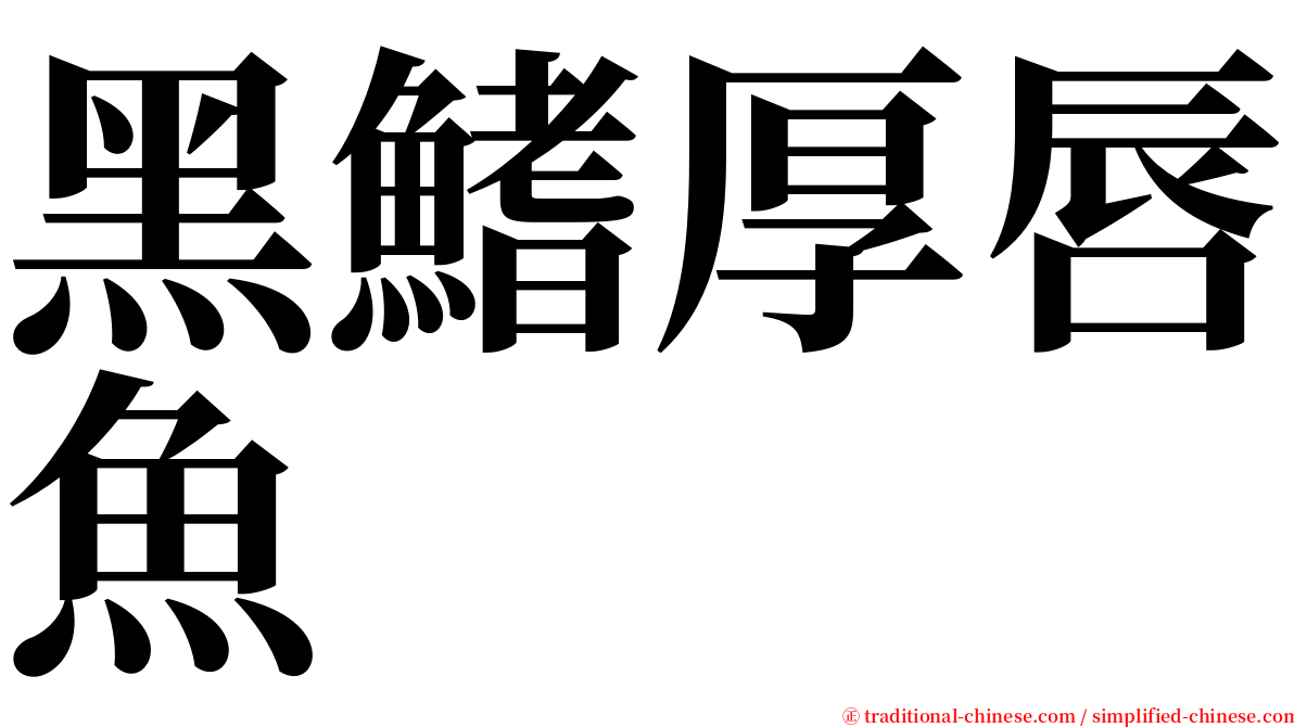 黑鰭厚唇魚 serif font