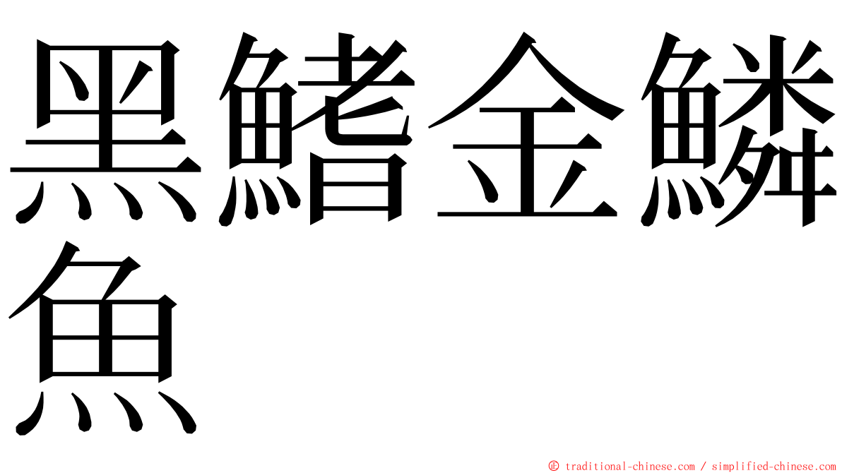 黑鰭金鱗魚 ming font