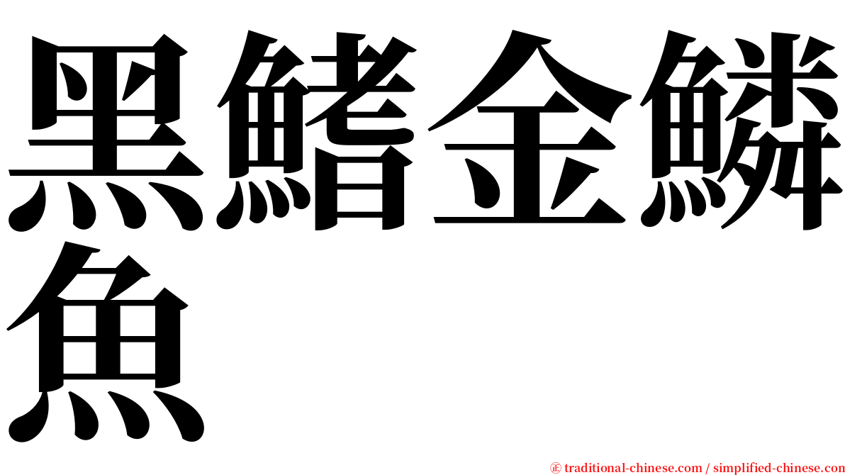 黑鰭金鱗魚 serif font