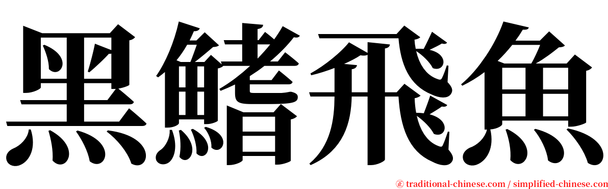 黑鰭飛魚 serif font