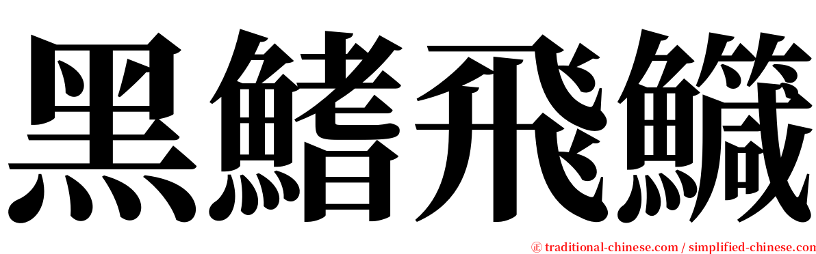 黑鰭飛鱵 serif font