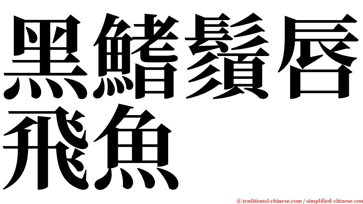 黑鰭鬚唇飛魚 serif font