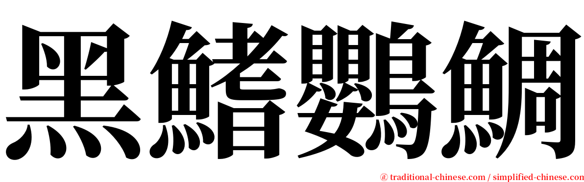 黑鰭鸚鯛 serif font