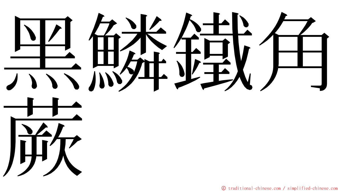 黑鱗鐵角蕨 ming font