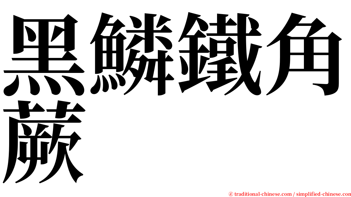 黑鱗鐵角蕨 serif font