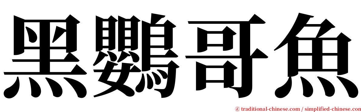 黑鸚哥魚 serif font