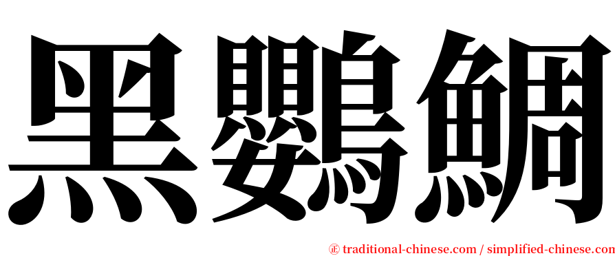 黑鸚鯛 serif font