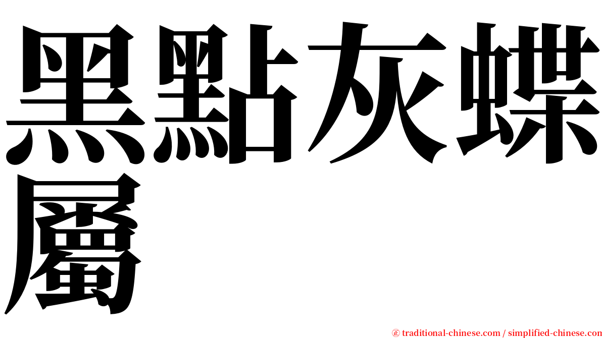 黑點灰蝶屬 serif font