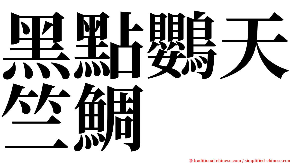 黑點鸚天竺鯛 serif font