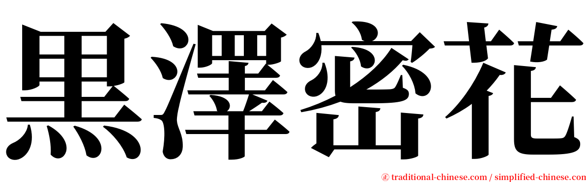 黒澤密花 serif font