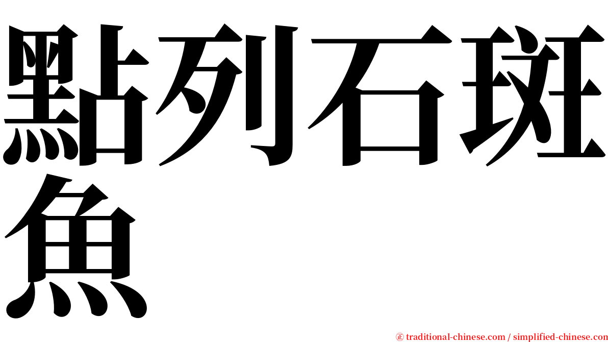 點列石斑魚 serif font