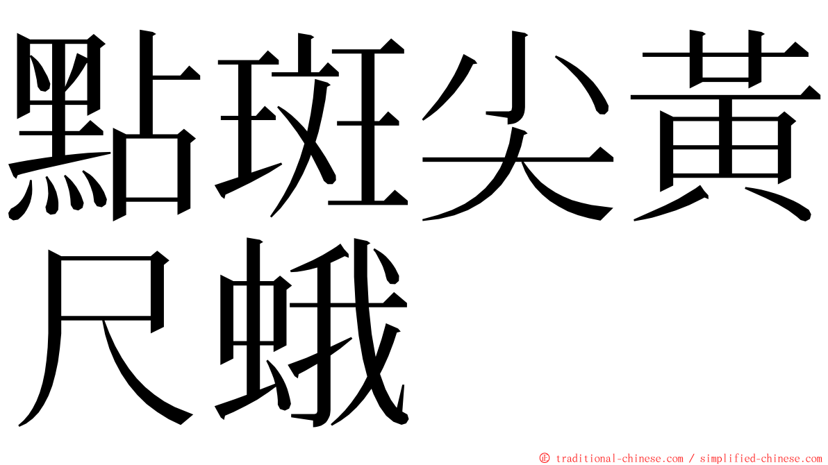 點斑尖黃尺蛾 ming font