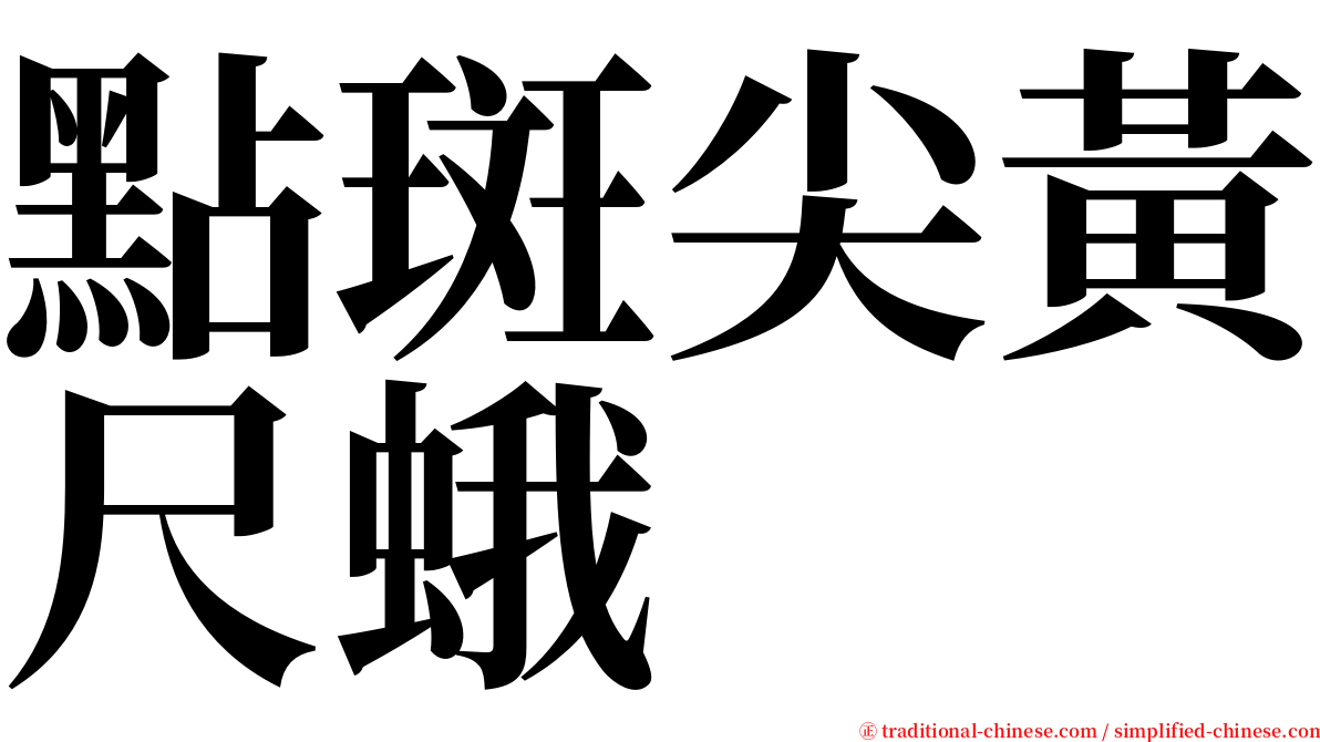 點斑尖黃尺蛾 serif font