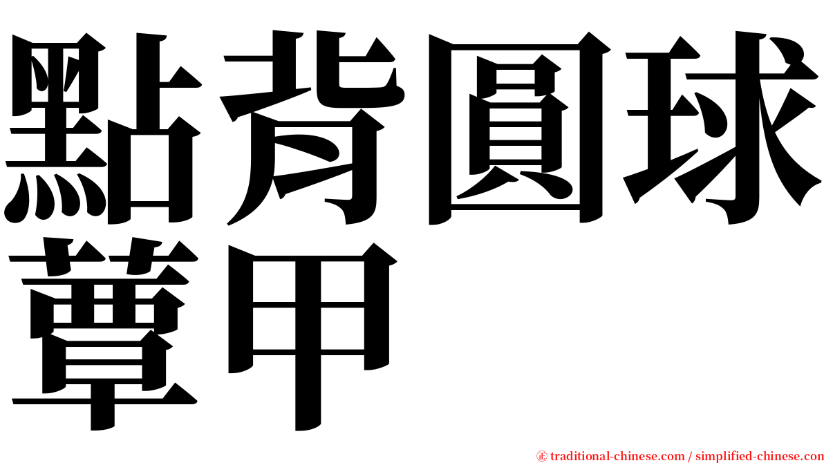 點背圓球蕈甲 serif font