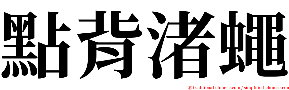 點背渚蠅 serif font