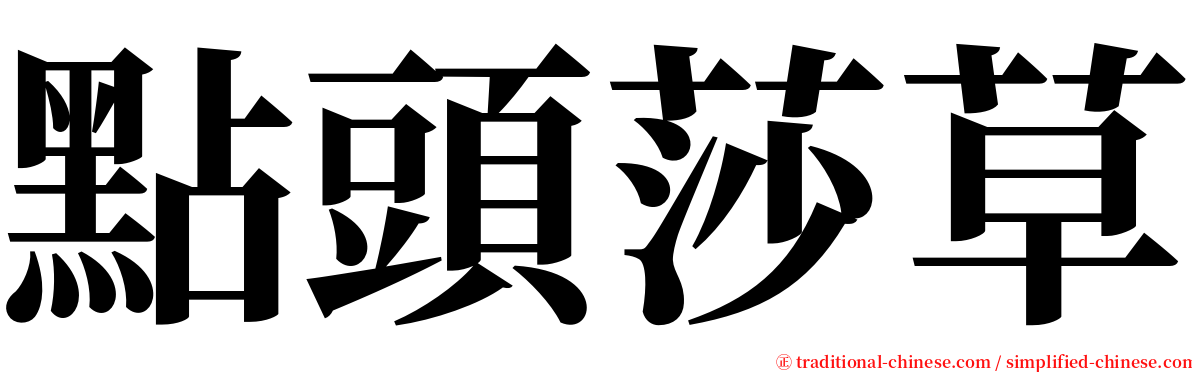 點頭莎草 serif font