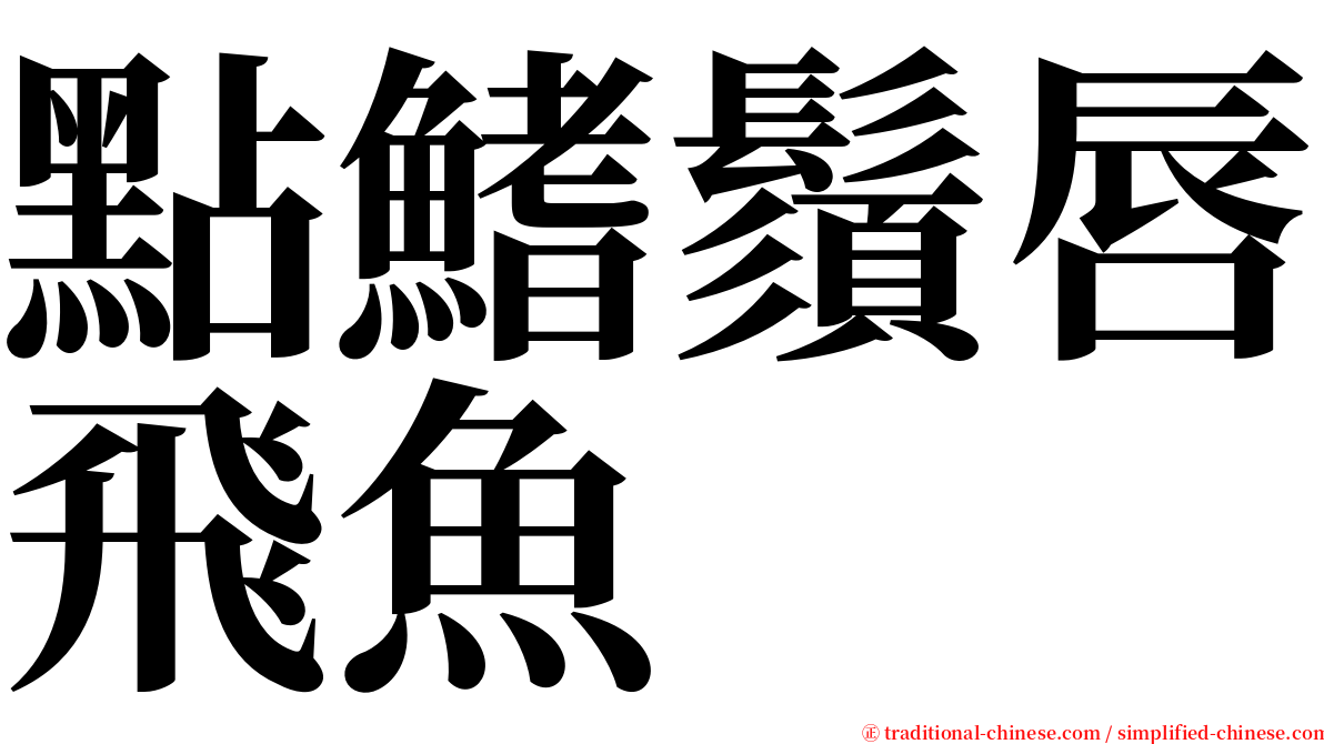 點鰭鬚唇飛魚 serif font