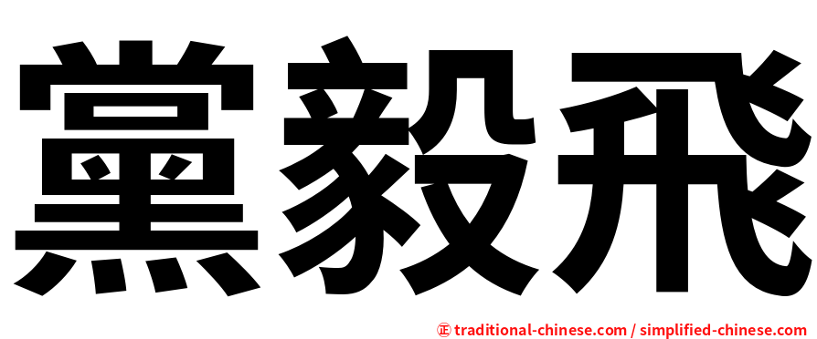 黨毅飛