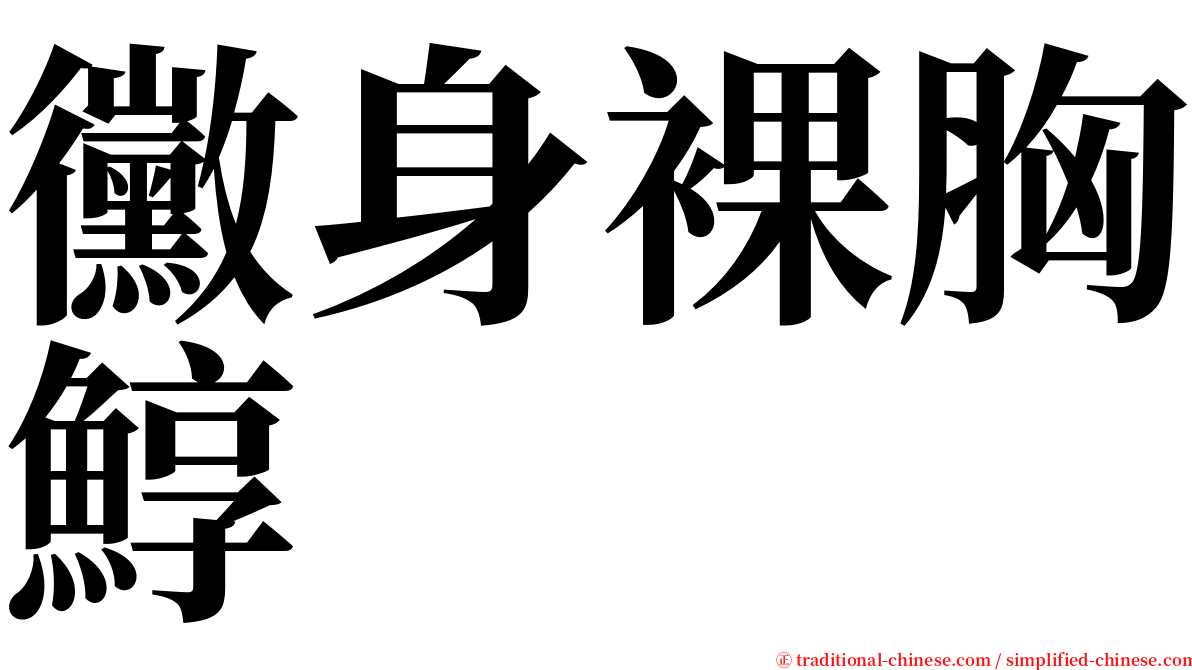 黴身裸胸鯙 serif font