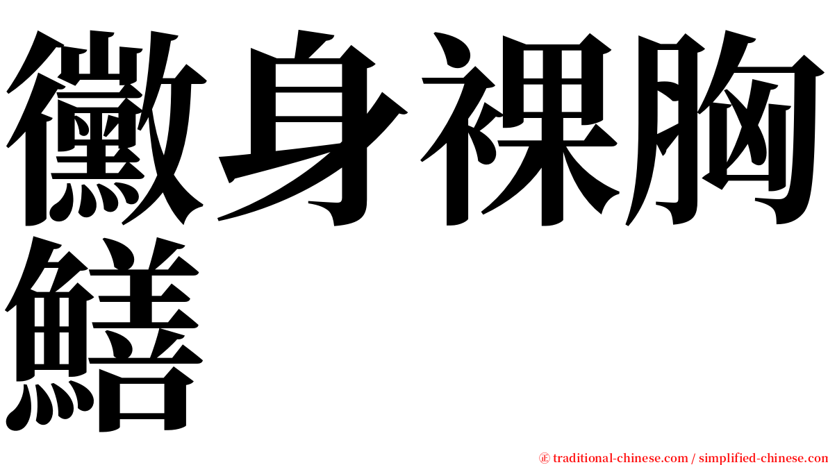 黴身裸胸鱔 serif font