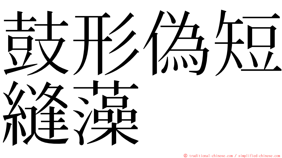 鼓形偽短縫藻 ming font