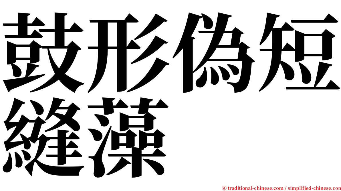 鼓形偽短縫藻 serif font