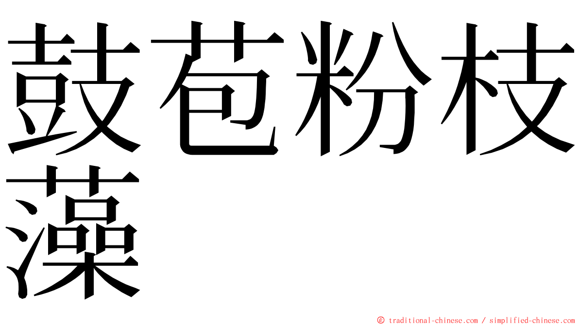 鼓苞粉枝藻 ming font