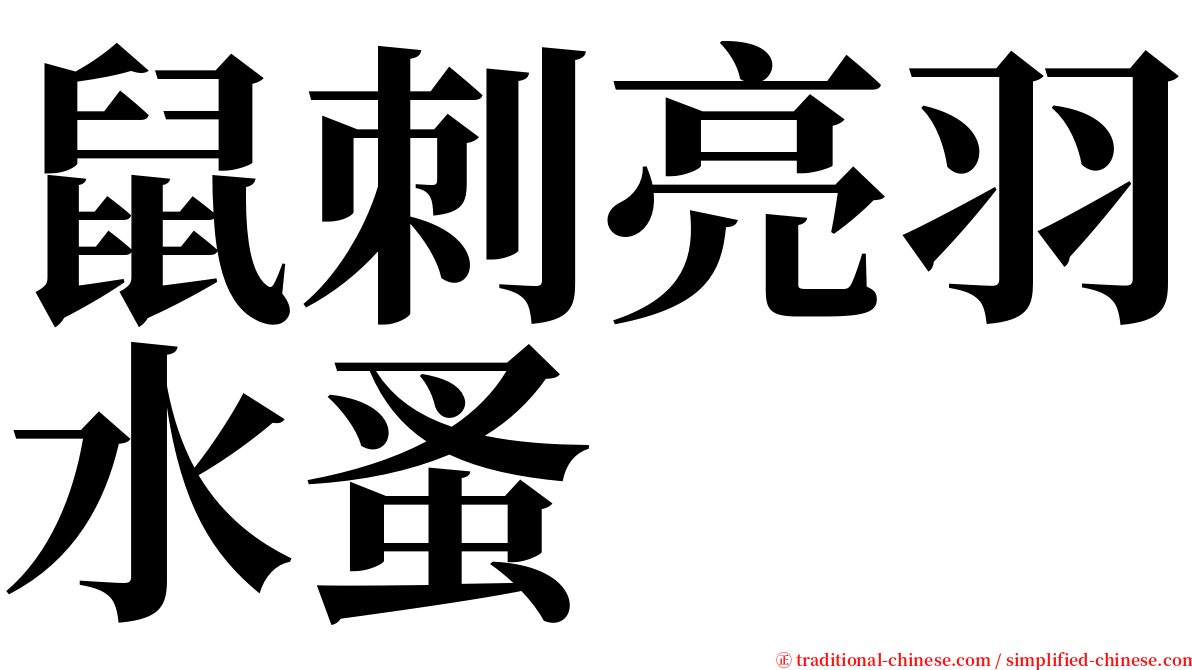 鼠刺亮羽水蚤 serif font