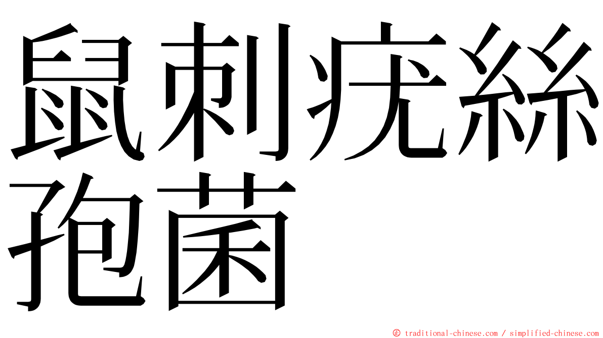 鼠刺疣絲孢菌 ming font