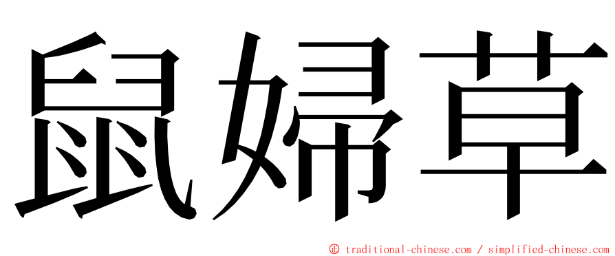 鼠婦草 ming font